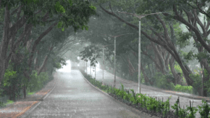 Top places to visit in India for your mid-monsoon trips Top places to visit in India for your mid-monsoon trips
