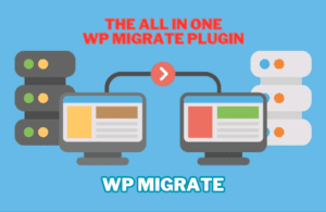 WP Migrate: All-in-One WordPress Site Migration Plugin 