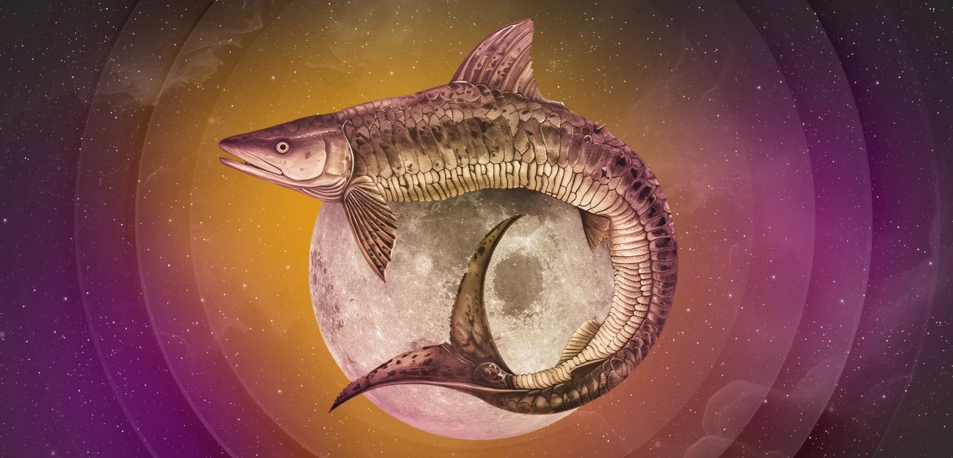 Full Sturgeon Moon 2025: Meaning, Time, Visibility in India & US, and Why It’s So Rare Full Sturgeon Moon 2025: Meaning, Time, Visibility in India & US, and Why It’s So Rare