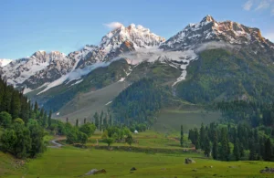 Places to Visit in India in Winters: Magical Northern Delights Places to Visit in India in Winters: Magical Northern Delights
